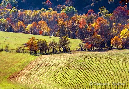 Autumn Field_24741-2.jpg - A view of the Duck River Valley from the Baker Bluff Overlook, photographed along the Natchez Trace Parkway in Tennessee, USA.